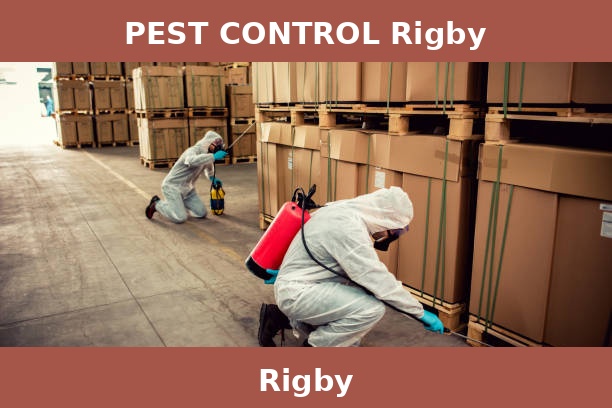 PEST CONTROL Rigby